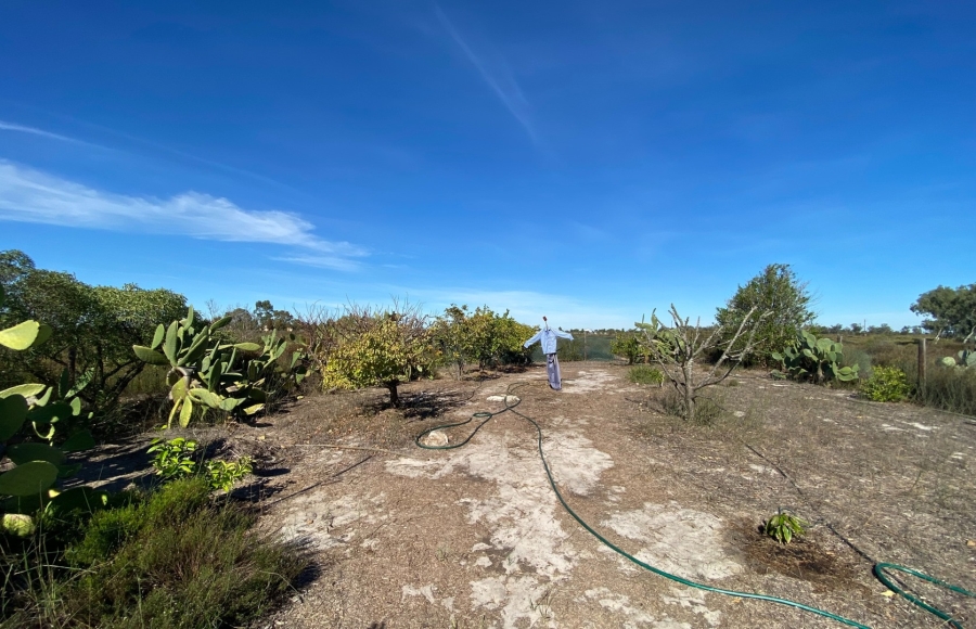 Commercial Property for Sale in Hartebeesfontein Western Cape